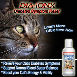 Dia-IonX Diabetes Treatment for Pets