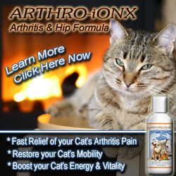 Arthro-iONX Arthritis Treatment for Pets