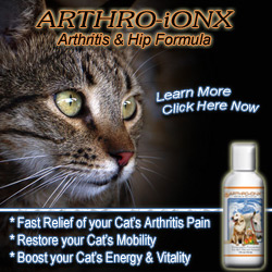 Arthro-iONX Arthritis Treatment for Pets